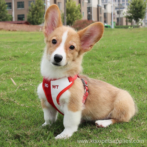 Wholesale Custom Dog Cat Harness And Leash